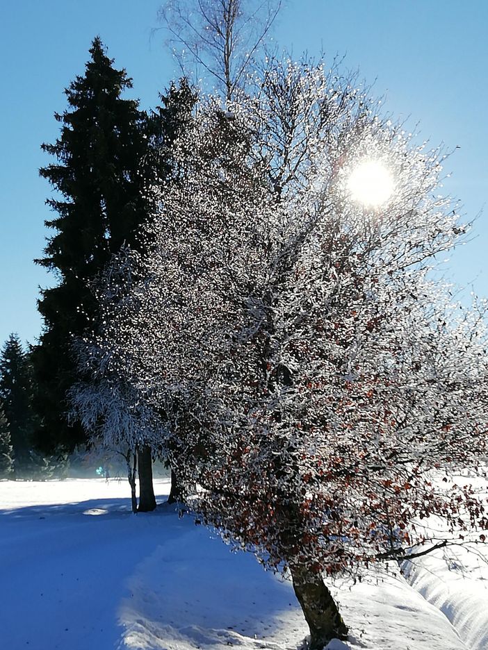 Winter 22