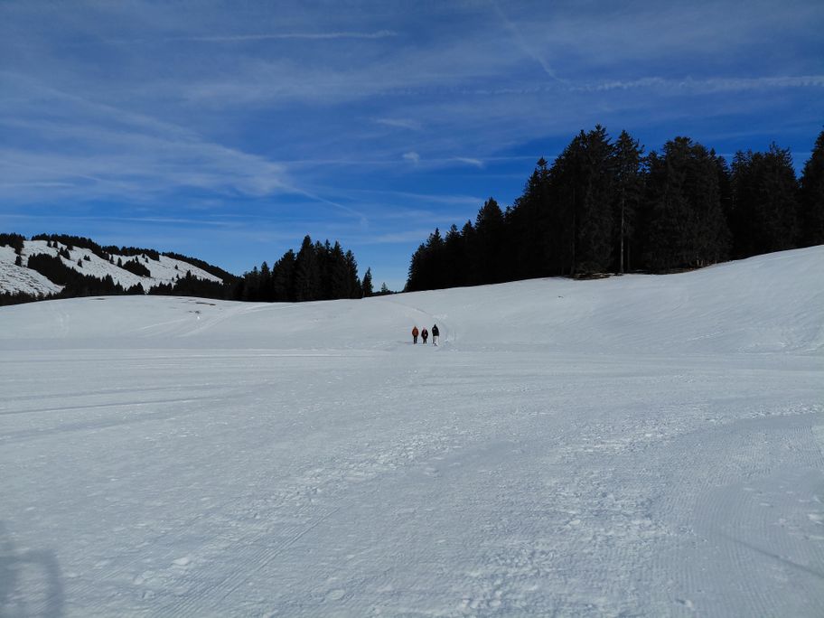 Kleine Winterwanderung im Kojenmoos