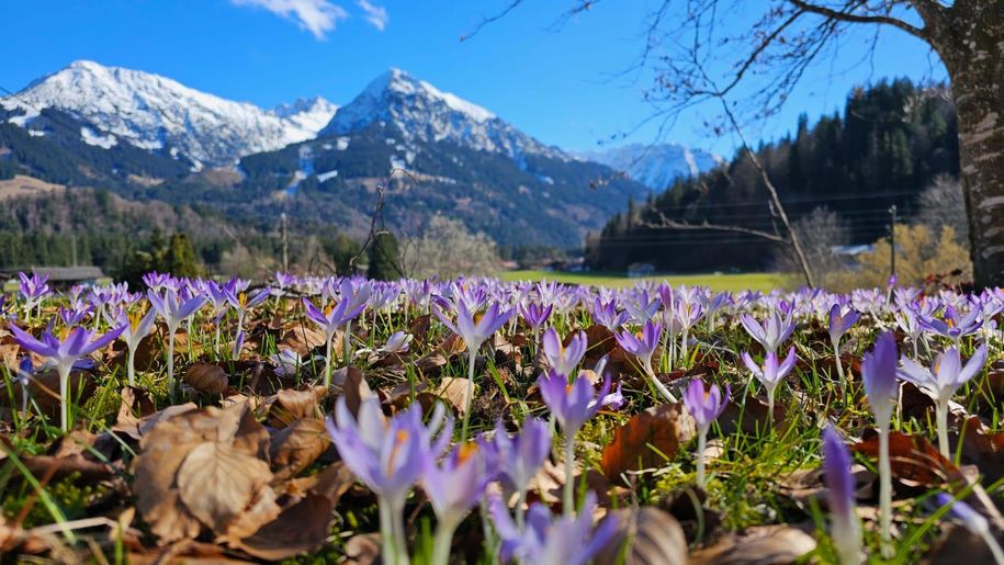 Ausblick im Frühling