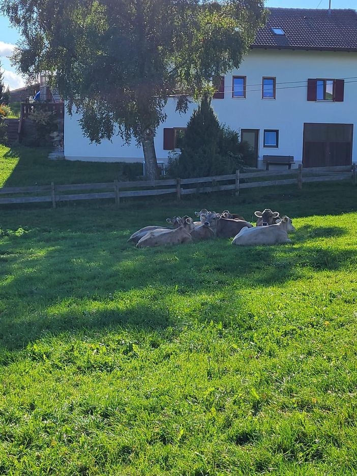 Garten der kleinen Wohnung