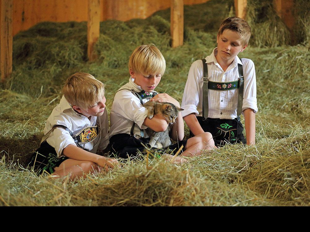 eineunsererschmusekatzen