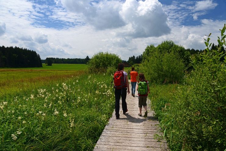 Wanderer auf dem Elbseesteg