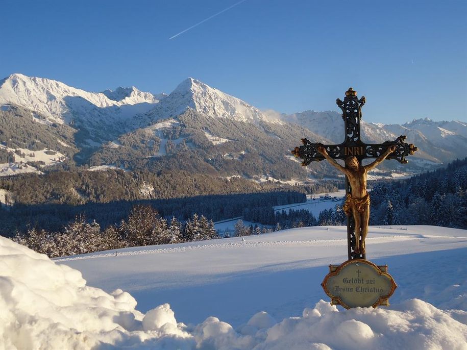 Blick vom Garten