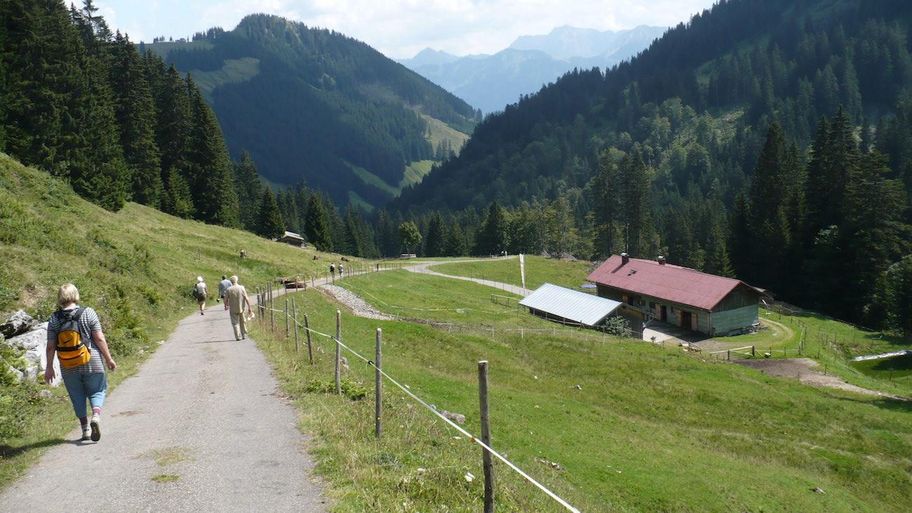 Alpe Bolgen in Bolsterlang