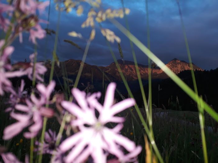 Alpenglühen Nebelhorn