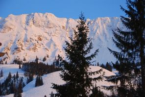 Blick aus Wohnzimmer auf Kühgrund