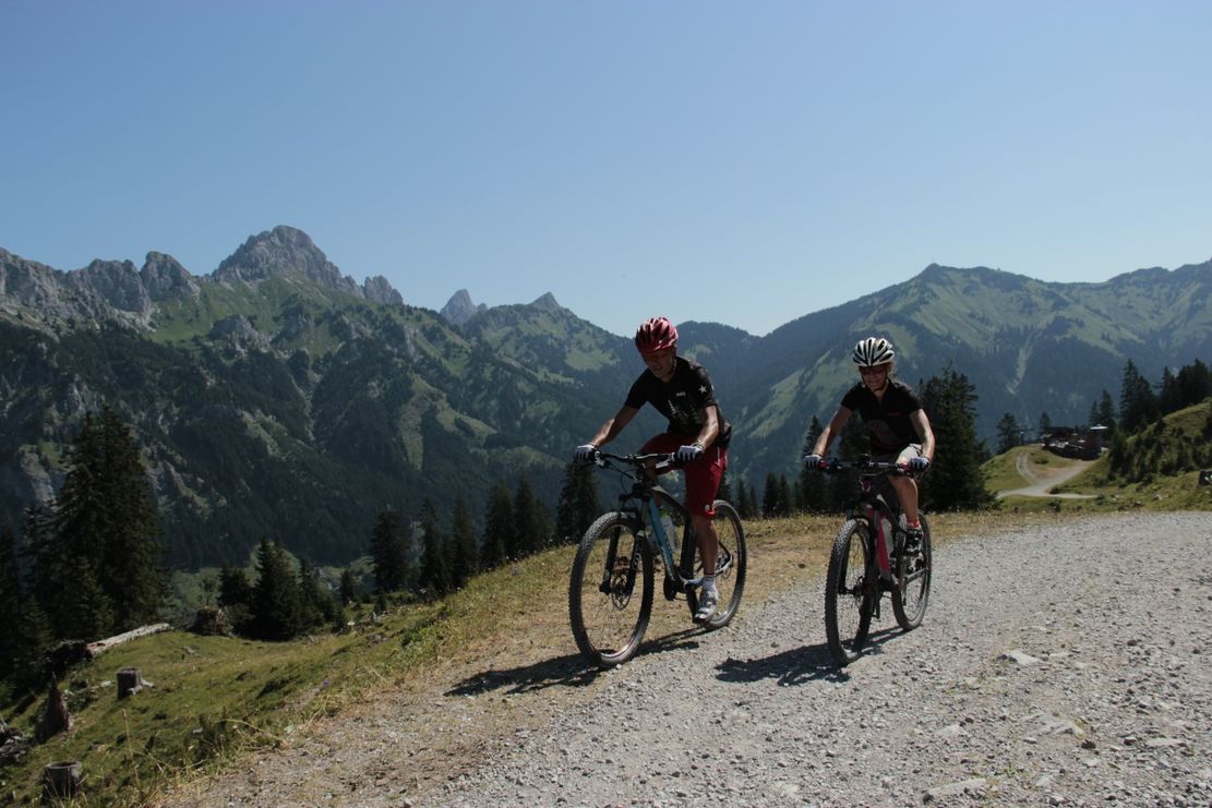 Alter Gaichtpass