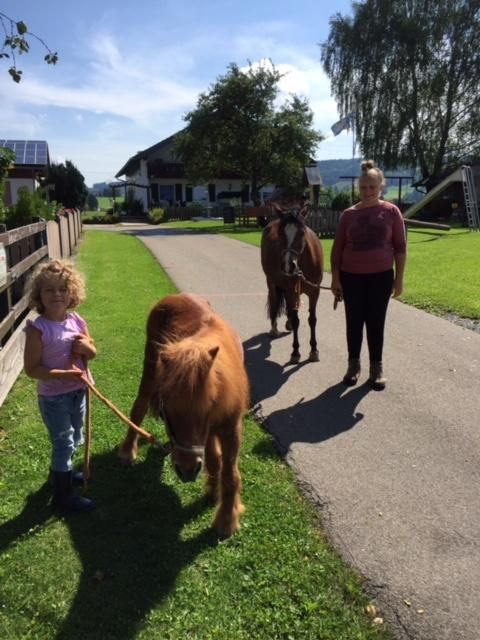 Spaziergang mit den Ponys