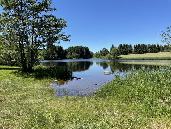 Sticher Weiher, ca. 30 Minuten Fußweg