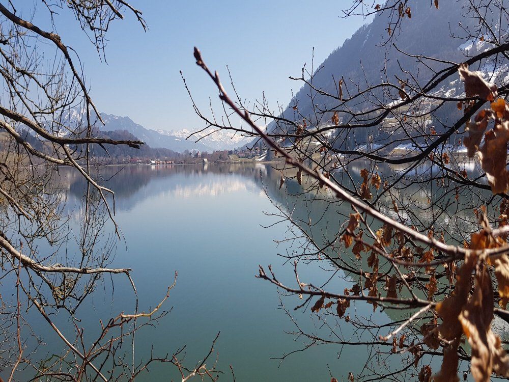 In der Umgebung/ Alpsee
