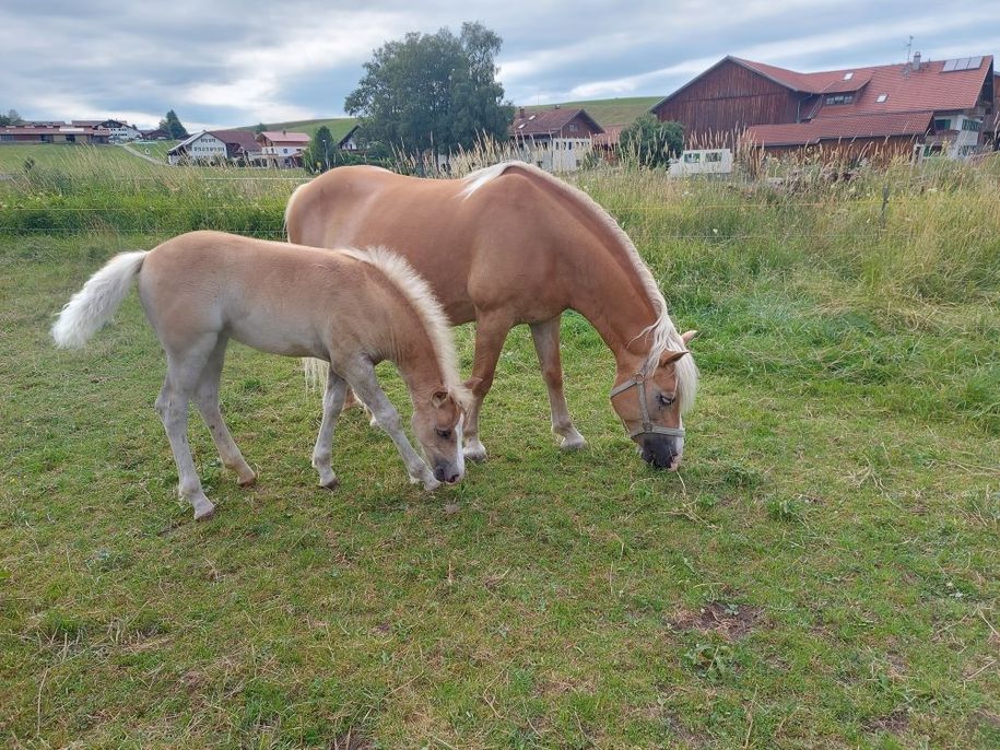 Oxana mit Tochter Omira