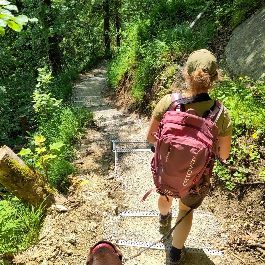 Vom Hündlekopf zu den Buchenegger Wasserfällen