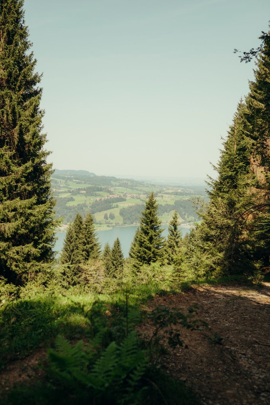 Blick auf den großen Alpsee