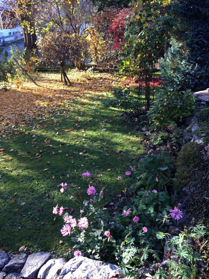 Herbstzauber