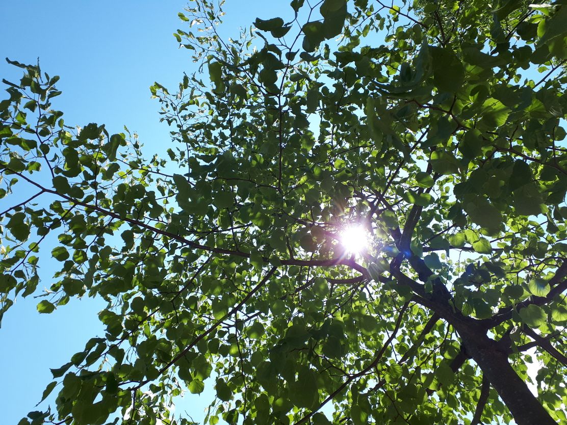 Walderlebniszentrum Füssen