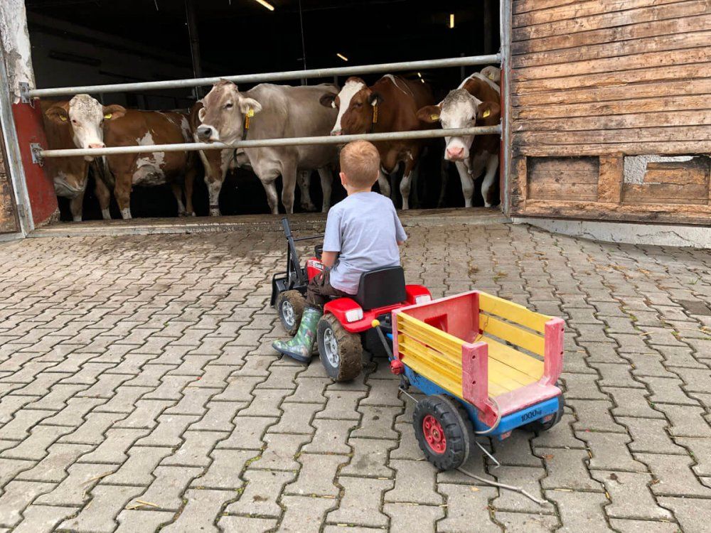 Unser Kinderfuhrpark