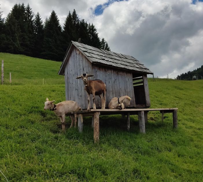 Allgäu