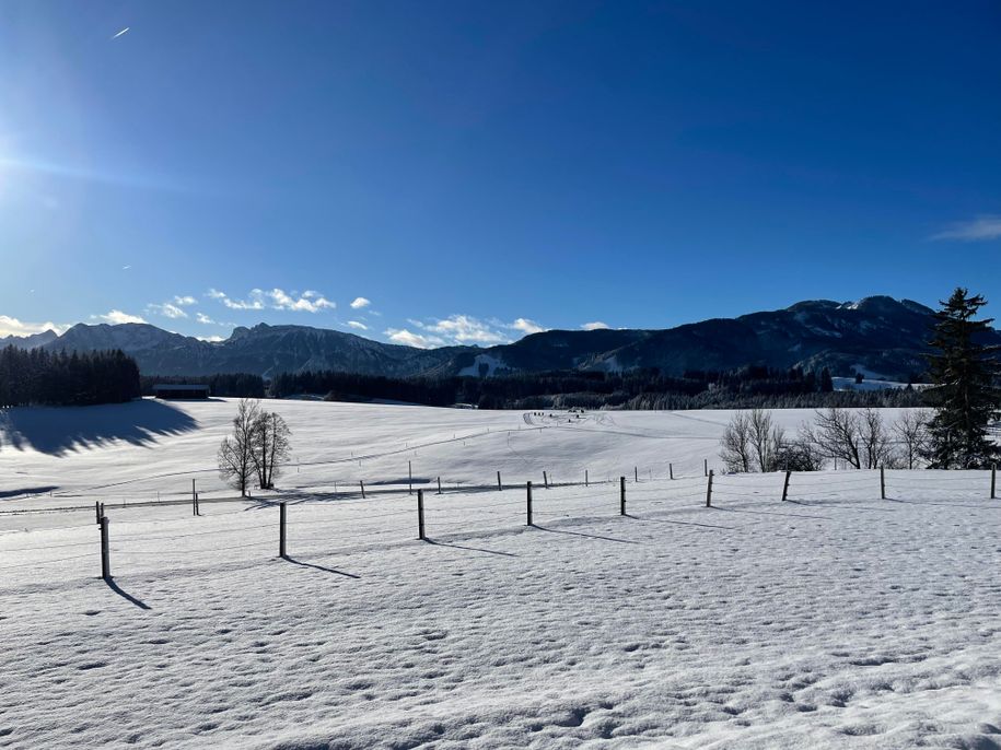 Ausblick im Winter