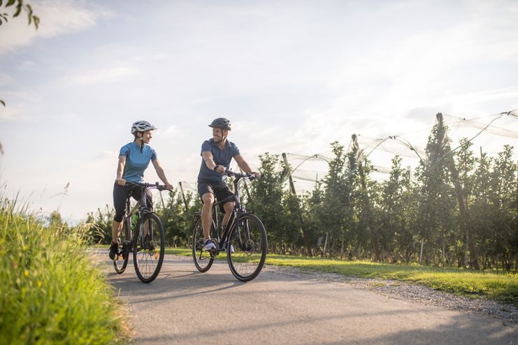 Radfahren, sonnig, Apfelplantage