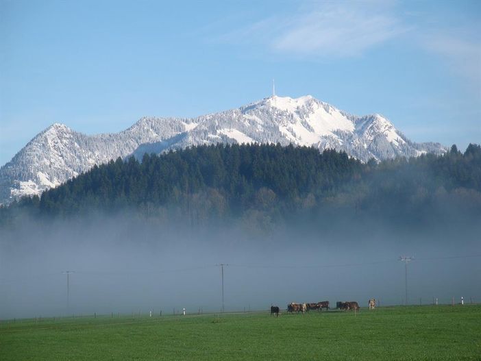 Ausblick zum Grünten
