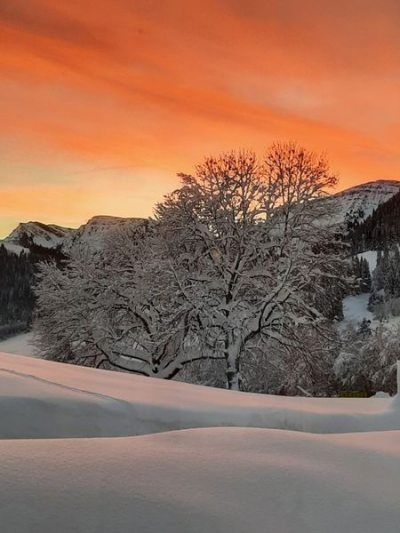 Abendrot