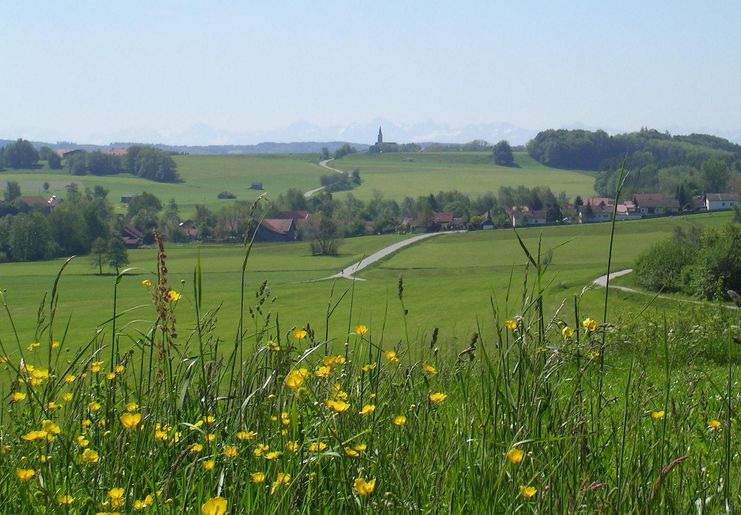 Bergwald-Runde