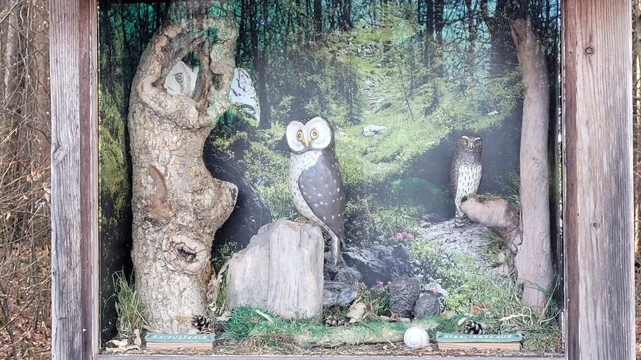 Vogellehrpfad Friesenried