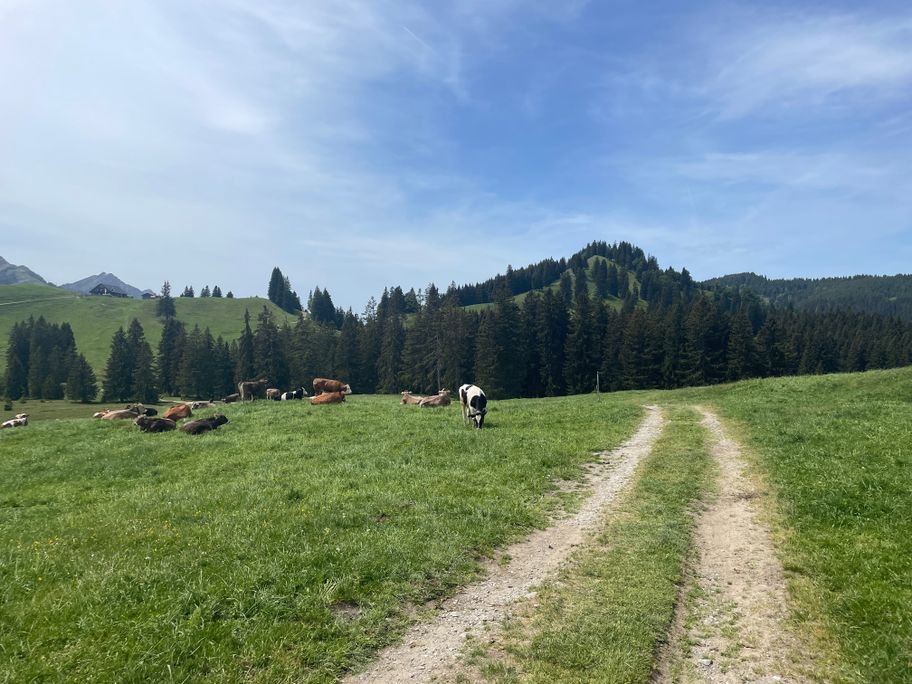 Wegeabschnitt