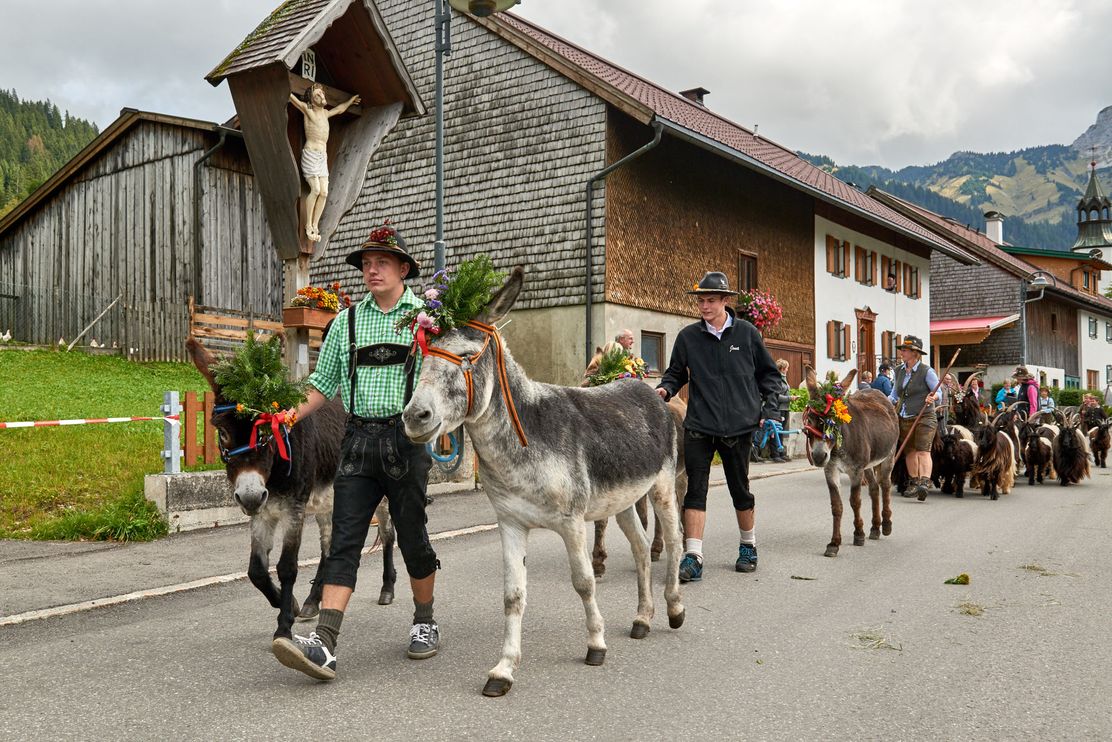 Meurers_Herbst_2017_0950