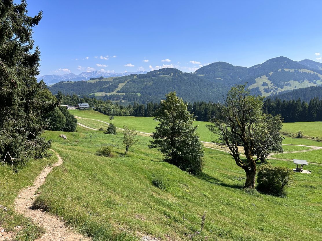 Wiesach