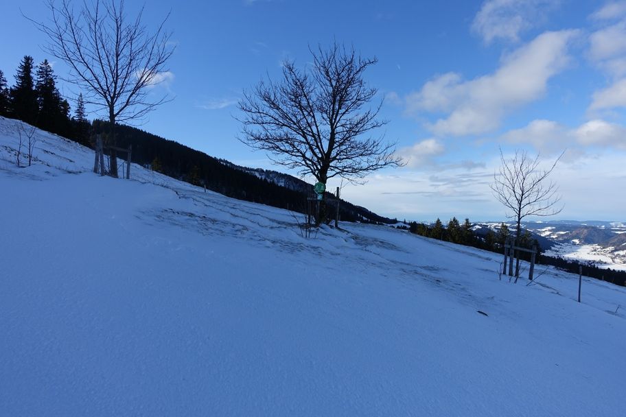 Vom Alpsee auf's Gschwender Horn (1.450m)