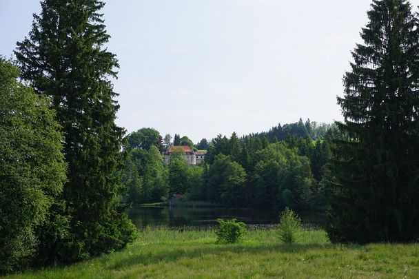 Schwaltenweiher
