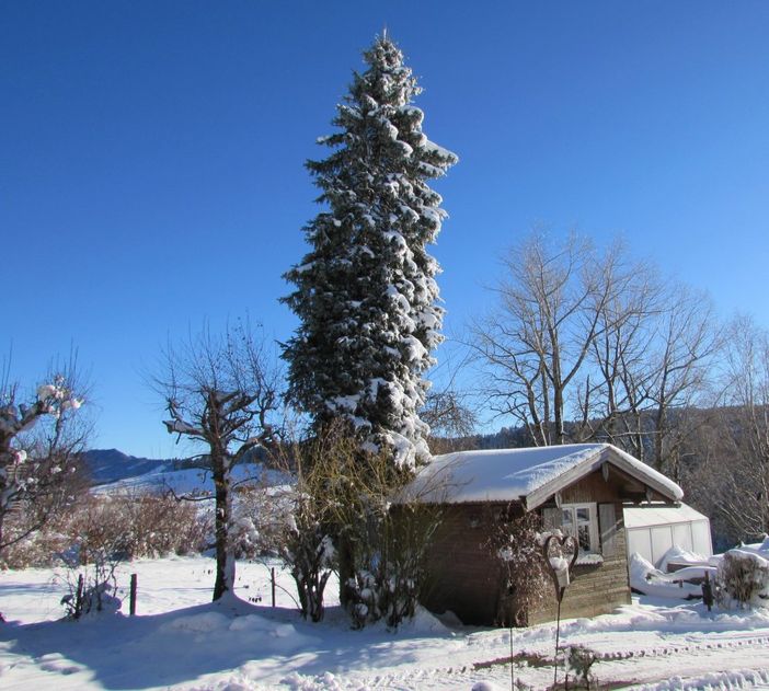 gartenhtteimwinter