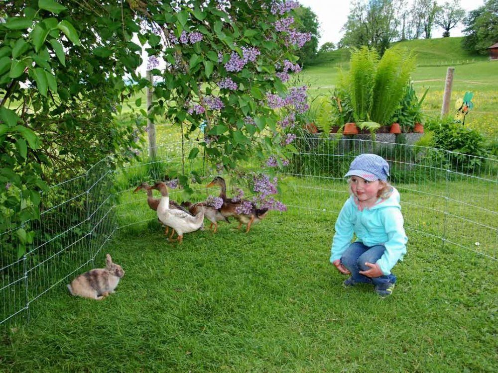 unserekleineentenfamilie