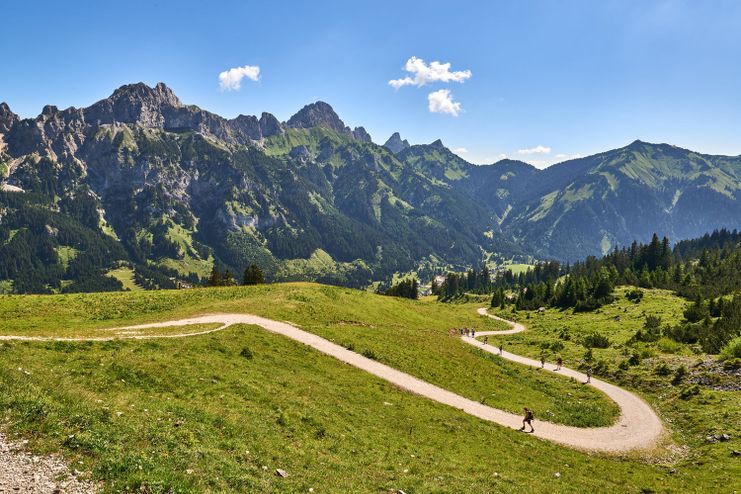 Forstweg nach Rauth