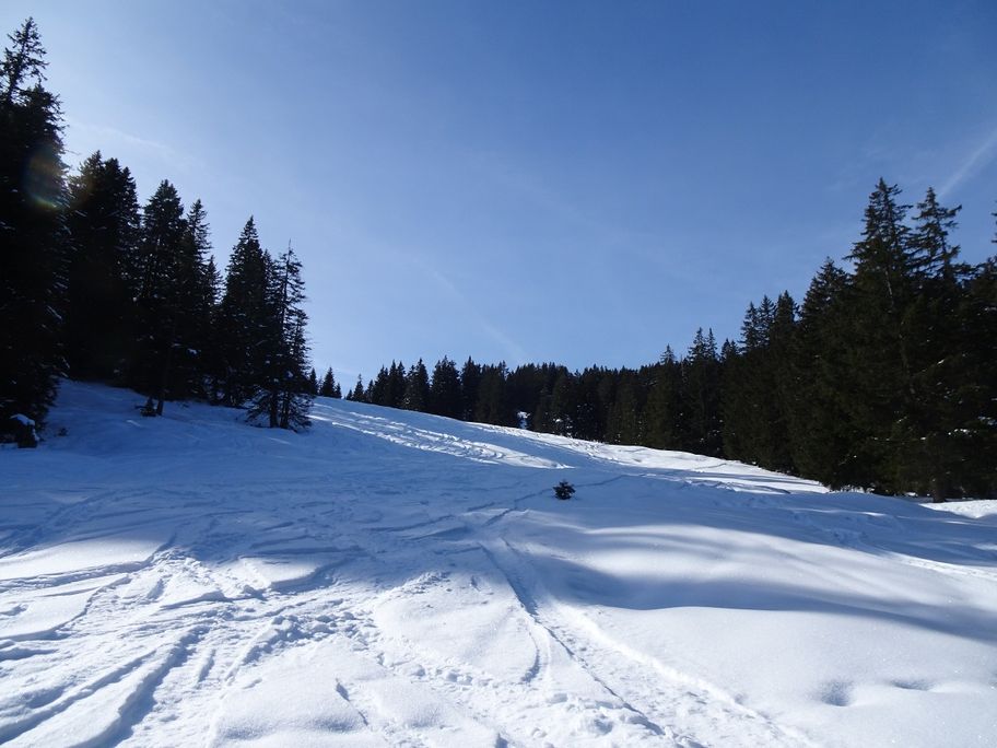 Durch das Bolgental auf den Wannenkopf