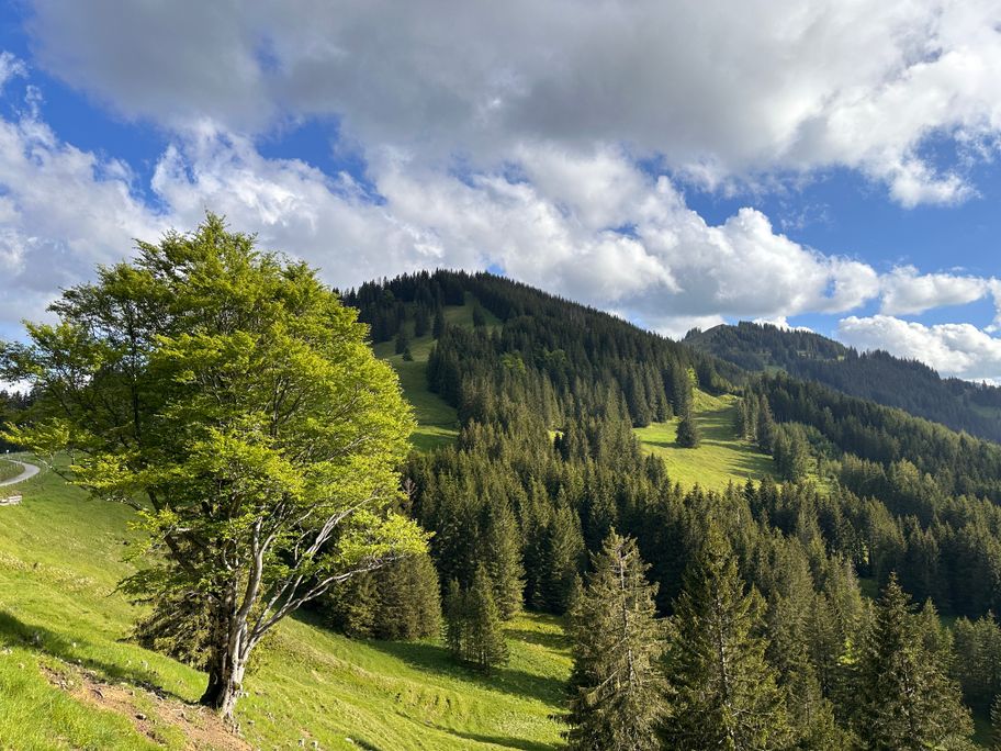 Vom Ostertal auf das Ofterschwanger Horn
