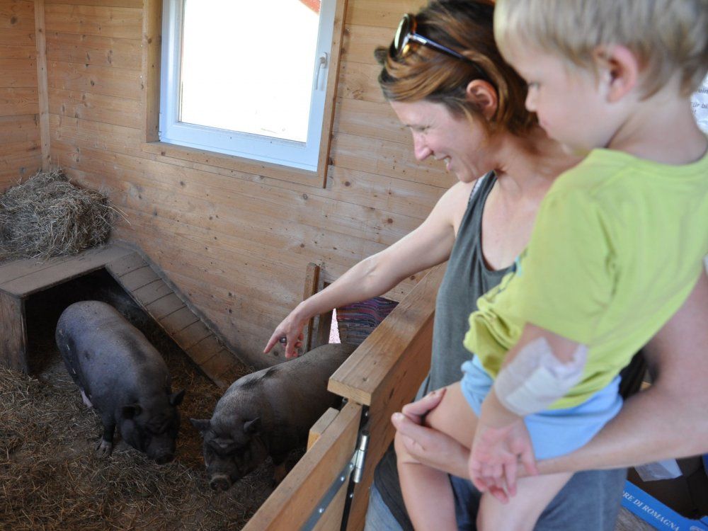 Zu Besuch bei Toni und Rosi