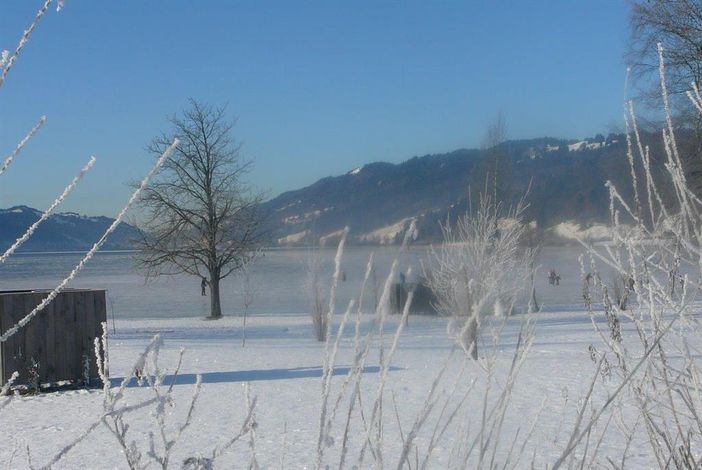 Beim Eislaufen auf dem Alpsee