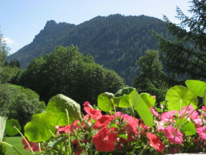 Aussicht Zinken