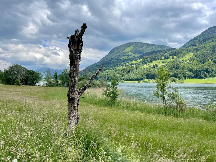 Radeln entlang des Großes Alpsees