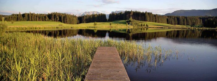Sommer am Attlesee