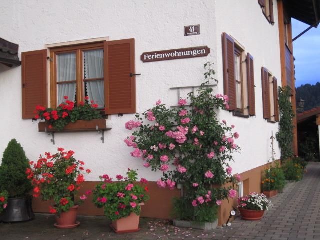 Blumen Sommer