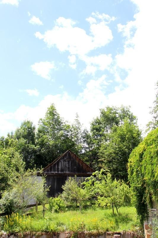 obstgarten