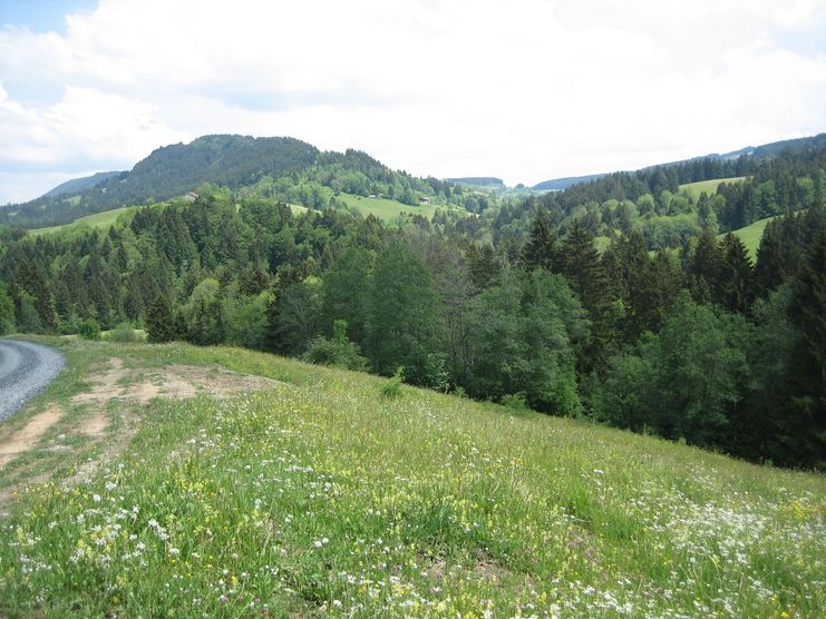 Die Rote Heide auf dem Weg nach Geratsried