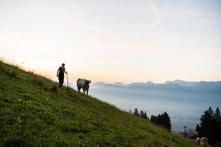 Die Wanderung führt vorbei an Alpweiden