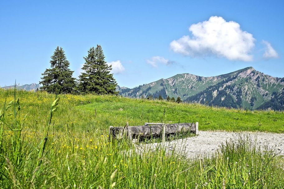 Rundwanderweg um das Ofterschwanger Horn