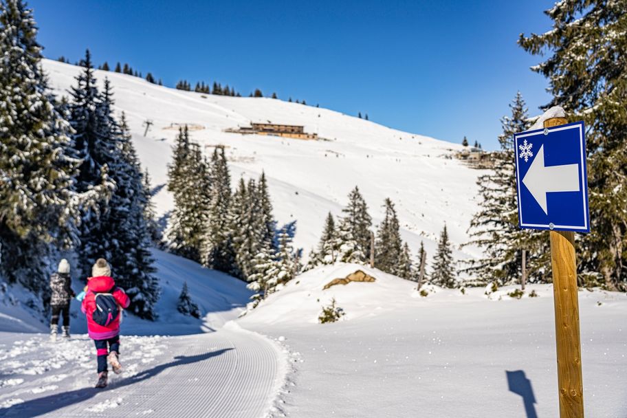 Winterwanderung "Bürschling-Runde" am Breitenberg