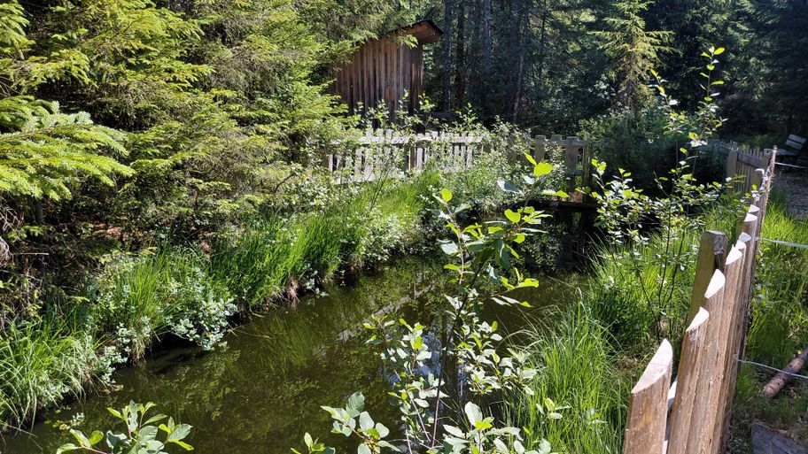 Ehemaliges Moorbecken