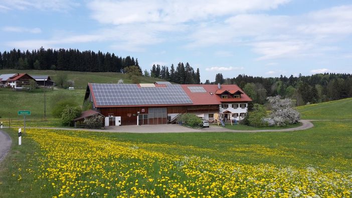 Frühling